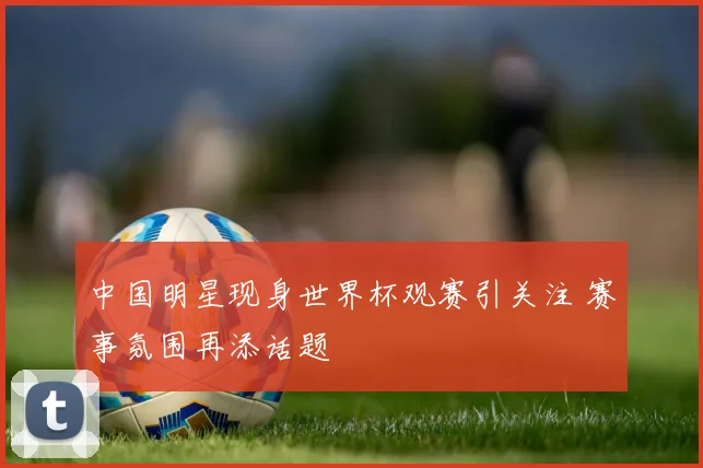中国明星现身世界杯观赛引关注 赛事氛围再添话题