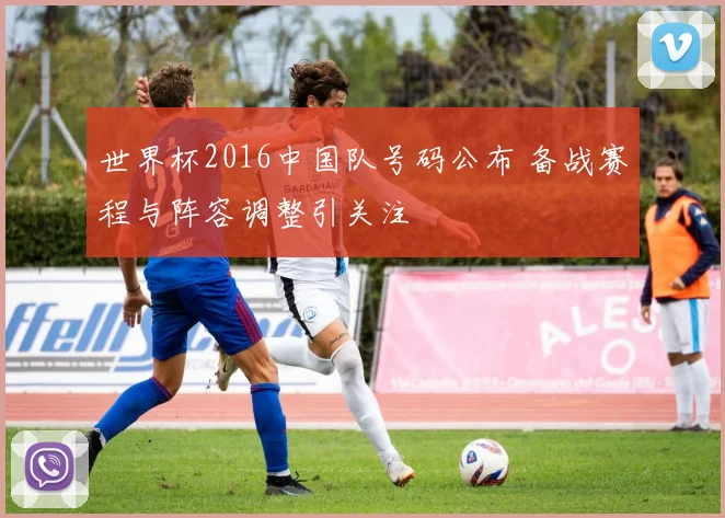 世界杯2016中国队号码公布 备战赛程与阵容调整引关注