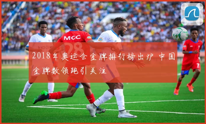 2018年奥运会金牌排行榜出炉 中国金牌数领跑引关注